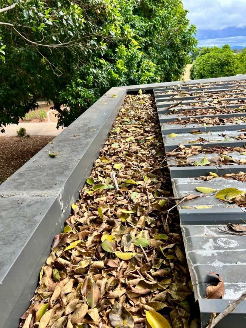 Flat roof box gutter before cleaning